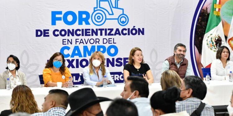 campo mexiquense