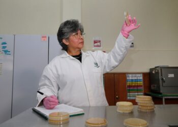 Virginia Guadalupe García Rubio