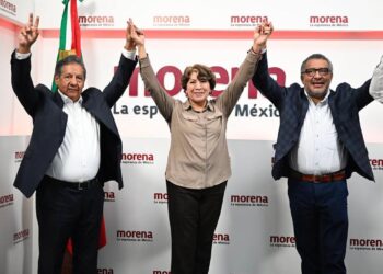 Delfina Precandidata