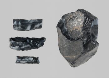 Group of 3 worked obsidian fragments and a raw obsidian lump