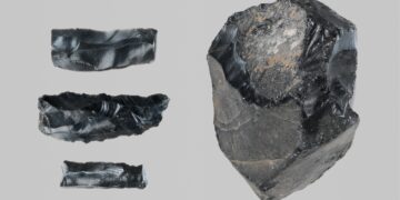 Group of 3 worked obsidian fragments and a raw obsidian lump