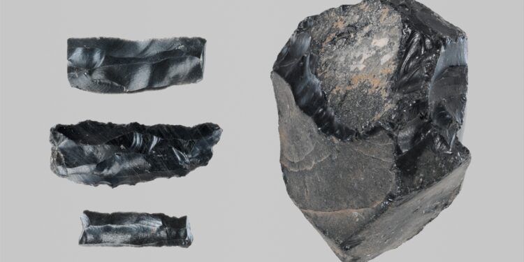 Group of 3 worked obsidian fragments and a raw obsidian lump