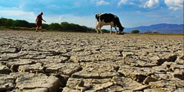 En México se tiene registro de que el 42.11 % de los acuíferos y 13.73 % de las cuencas presentan escasez de agua