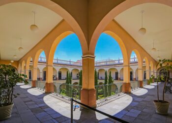 SEgindo informe de actividades de CEBD