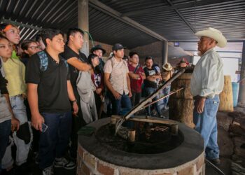 Elaboración de mezcal en la destilería “La Perla”