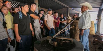 Elaboración de mezcal en la destilería “La Perla”