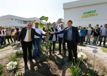 El árbol de las manitas fue plantado en la Facultad de Ciencias Agrícolas