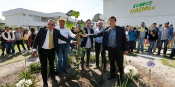 El árbol de las manitas fue plantado en la Facultad de Ciencias Agrícolas