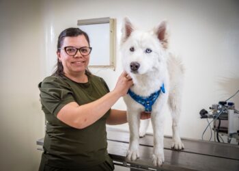 Un perro no puede cuidarse ni defenderse de la maldad del ser humano