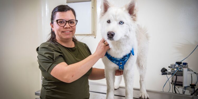 Un perro no puede cuidarse ni defenderse de la maldad del ser humano