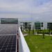 Los 250 paneles son marca sunpower y tuvieron una inversión de 5 millones de pesos.