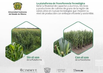 La plataforma busca capacitar a la comunidad estudiantil y productores de maíz sobre cómo sembrar sus cultivos de manera eficiente, óptima y sostenible.