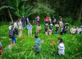 Primer Festival de las Tigridias