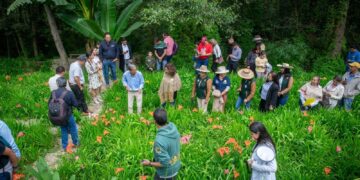 Primer Festival de las Tigridias