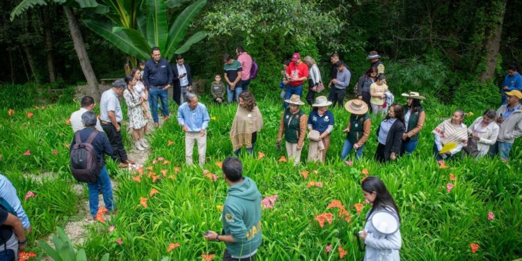 Primer Festival de las Tigridias