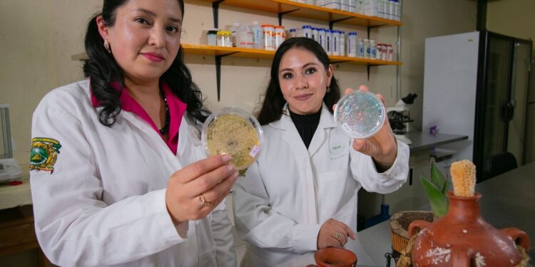 Rosa Laura Ocaña de Jesús comenzó una investigación sobre el proceso real de fermentación en el municipio de Jiquipilco.