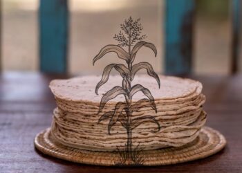 La dieta de la milpa, cuyo origen es prehispánico, consiste en el consumo prioritario de chile, frijol, calabaza, maíz y productos locales que impactan de manera positiva en su salud, ambiente y economía.