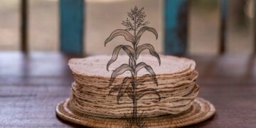 La dieta de la milpa, cuyo origen es prehispánico, consiste en el consumo prioritario de chile, frijol, calabaza, maíz y productos locales que impactan de manera positiva en su salud, ambiente y economía.