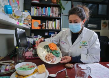 El plato del bien comer se integra por las frutas y verduras, alimentos de origen animal y leguminosas, y los carbohidratos