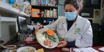 El plato del bien comer se integra por las frutas y verduras, alimentos de origen animal y leguminosas, y los carbohidratos