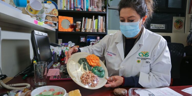 El plato del bien comer se integra por las frutas y verduras, alimentos de origen animal y leguminosas, y los carbohidratos