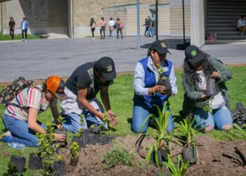 La Reforestación 2023 es fomenta la creación de ecosistemas