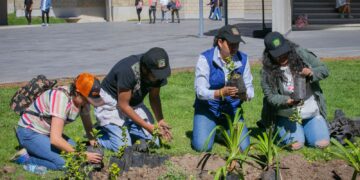 La Reforestación 2023 es fomenta la creación de ecosistemas