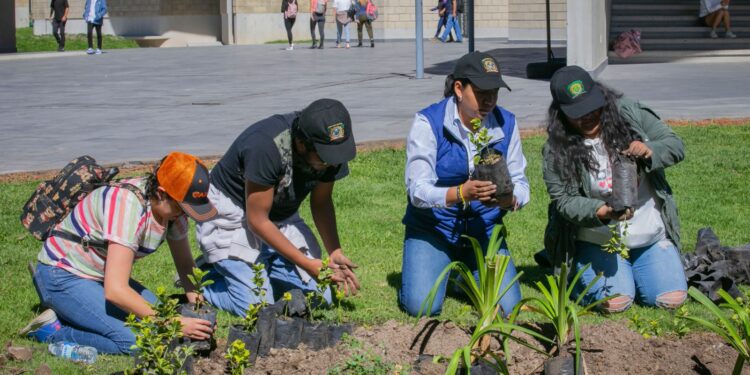 La Reforestación 2023 es fomenta la creación de ecosistemas