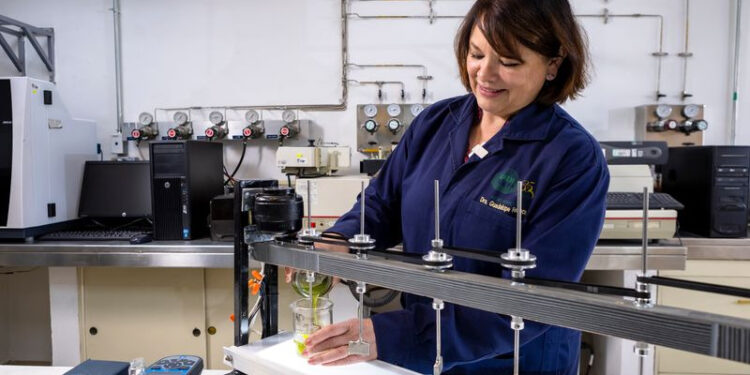 María Guadalupe Fonseca Montes de Oca, investigadora de la UAEMéx, analiza la calidad del agua mediante técnicas a microescala