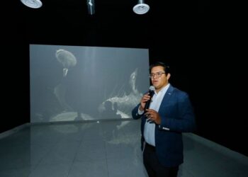 “De la percepción al reconocimiento: una guía científico-kafkiana” fue desarrollada a través de la microscopía electrónica, una técnica que permite formar fotografías de determinadas muestras que no son perceptibles al ojo humano.