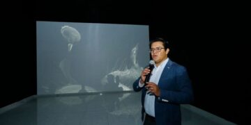 “De la percepción al reconocimiento: una guía científico-kafkiana” fue desarrollada a través de la microscopía electrónica, una técnica que permite formar fotografías de determinadas muestras que no son perceptibles al ojo humano.