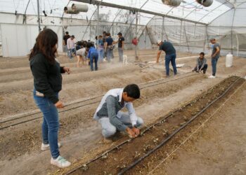 Los egresados de la carrera de Ingeniero Agrónomo en Producción tienen como propósito dar soluciones a los problemas que enfrenta el productor agropecuario.