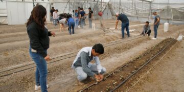 Los egresados de la carrera de Ingeniero Agrónomo en Producción tienen como propósito dar soluciones a los problemas que enfrenta el productor agropecuario.