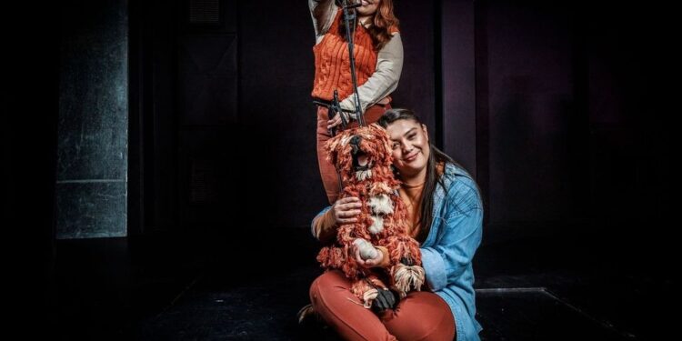 El Teatro Universitario “Los Jaguares” de la UAEMéx es sede de la Cuarta Temporada de Teatro Universitario 2024, que estará hasta septiembre.