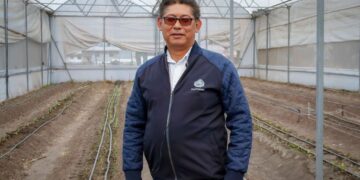 La UAEMéx evalúa el comportamiento y adaptación del maíz criollo pozolero michoacano en Zumpango