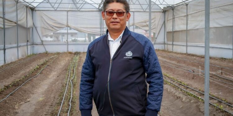 La UAEMéx evalúa el comportamiento y adaptación del maíz criollo pozolero michoacano en Zumpango