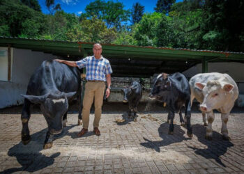 Albarrán Portillo propone establecer praderas perennes multiespecie como una alternativa productiva, que duran toda la vida