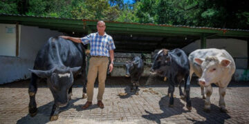 Albarrán Portillo propone establecer praderas perennes multiespecie como una alternativa productiva, que duran toda la vida