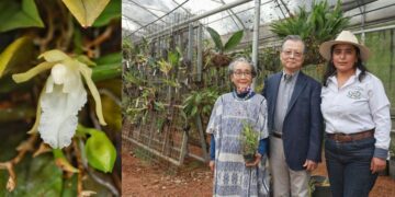 La arqueóloga Yoko Sugiura Yamamoto entregó a la comunidad del C.U. UAEM Tenancingo una colección de más de 200 ejemplares de orquídeas.