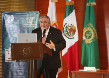 es necesario voltear a ver a las infancias y las condiciones en que se encuentran, además de las vulnerabilidades que enfrentan de manera interseccional