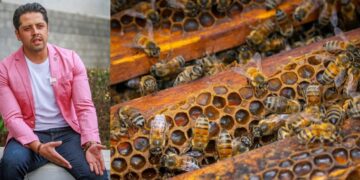 Amor y respeto por las abejas: Investigación de Alexis Benítez Aguilar, destaca prácticas éticas y saberes ancestrales en Ecatzingo.