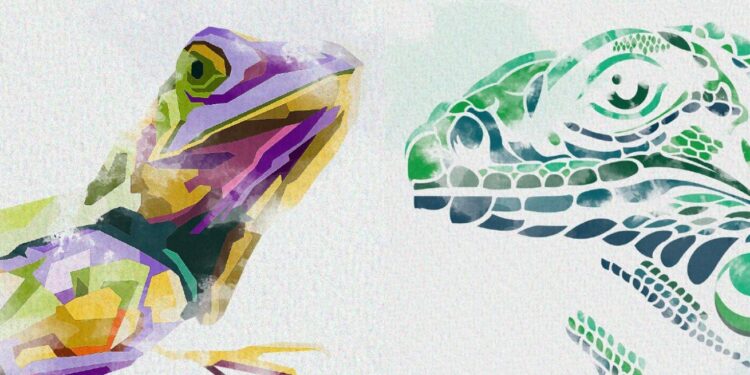 El color en algunos tipos de lagartijas ha sido uno de los elementos más estudiados, el cual podría estar asociado a la contaminación de sus ecosistemas.