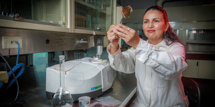 Rosa María Gómez Espinosa, investigadora UAEMex, experimenta con materiales orgánicos para eliminar contaminantes en el agua.