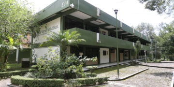 Muchos egresados ponen sus propias consultoras en materia de software para las micro, pequeñas y medianas empresas y ayudan a éstas a tener una mejor gestión administrativa y financiera.