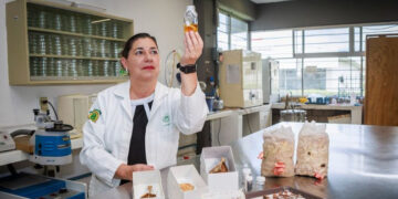 Cristina Burrola Aguilar, Investigadora UAEMéx, estudia el potencial de los hongos silvestres comestibles en el Estado de México