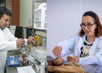 Durante 2024 en la institución se generaron mil 978 productos académicos y científicos, los cuales suman en total 8 mil 521 a lo largo de los últimos cuatro años.