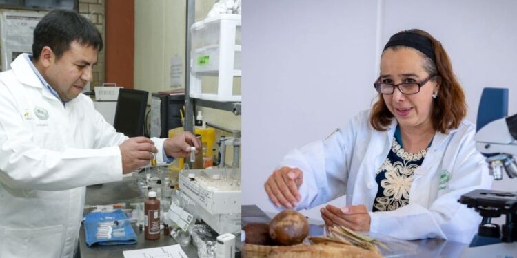 Durante 2024 en la institución se generaron mil 978 productos académicos y científicos, los cuales suman en total 8 mil 521 a lo largo de los últimos cuatro años.