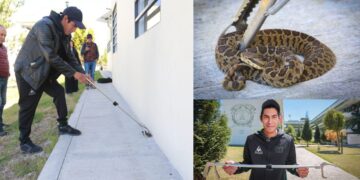 UAEMéx ofrece cursos de capacitación sobre manejo de reptiles y arácnidos a integrantes de comunidad universitaria