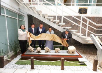 La Muela es un juego en donde un equipo de Timoteos odontólogos intentan extraer una muela desproporcionada, así como el arqueólogo busca un gran tesoro y lo desentierran, mencionó el autor.