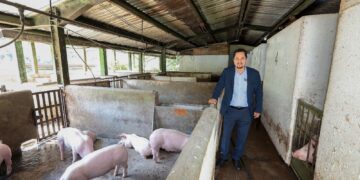 Desarrolla académico de la UAEMéx modelo para prevenir impacto económico de la Peste Porcina Africana en México